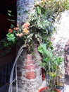 Pink floral vines wrapped around brick column in san miguel allende Royalty Free Stock Photo