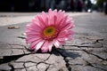 Pink flower asphalt. Generate Ai