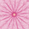 Pink flower background design vector illustration Royalty Free Stock Photo