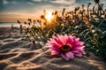 The pink flower on the beach and sunrise. Ai generated. Illustrations.