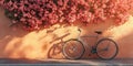 Pink Flower Bicycle Wall Stunning Spring Bicycle Photography Royalty Free Stock Photo