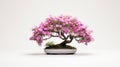 Pink Flower Bonsai Tree In Grey Pot: Hd Wallpaper With Minimalistic Serenity