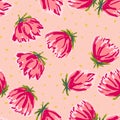 Pink Flower Drawn Vector Seamless Pattern. Tulip Royalty Free Stock Photo