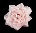 Pink flower fabric with