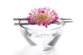 Pink flower floating on Chinese sticks in bowl