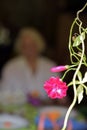 Pink flower framing the figure of the old lady Royalty Free Stock Photo