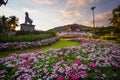 Pink flower gardens with Hor khum luang temple at the pavilion a