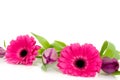 Pink flower garland