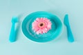Pink Flower Gerber on blue pastel background. Minimal concept for diet, healthy eating and romantic dating.