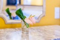 Pink flower and green leaf in small transparent glass