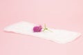 Pink flower and the menstrual sanitary daily pad. Woman critical days, gynecological menstruation cycle. Menstruation sanitary wom