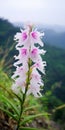 Pink Flower On Mountain Edge: A Unique And Serene Artistic Creation