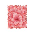 Pink flower petal in square shape illustration for decoration on spring garden .