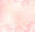 Pink flower petals background. Royalty Free Stock Photo