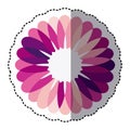 pink flower with petals icon