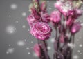 Pink Flower Rose Bouquet Gray Background Snowflake Valentine Theme