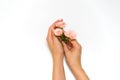 Pink flower, rose in female hand on white background. Concept of female beauty Royalty Free Stock Photo