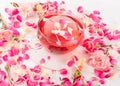 Pink Flower Tea with Carnation Petals. Hot Rose Drink in Glass Cup Royalty Free Stock Photo