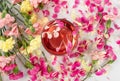 Pink Flower Tea with Carnation Petals. Hot Rose Drink in Glass Cup Royalty Free Stock Photo