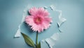 Pink flower through torn blue paper with copy space