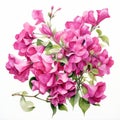 Hyperrealistic Watercolor Painting Of Red Bougainvillea