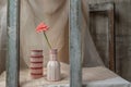 Pink flower in White and Pink handmade ceramic vases in Wooden frame on Blush textured table cloth