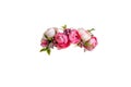 pink flower wreath of artificial roses isolated on white background Royalty Free Stock Photo