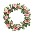 Pink Flower Wreath Floral Circle Frame for Design On Transparent Background Royalty Free Stock Photo