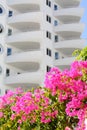 Pink flowering bougainvillea on background of residential complex
