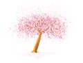 Pink flowering cherry tree over white background Royalty Free Stock Photo