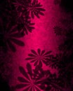 Pink Flowers Abstract