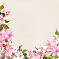 Pink flowers - apple, cherry blossom. Floral frame. Vintage watercolor on paper background Royalty Free Stock Photo