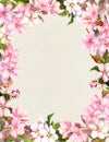 Pink Flowers - Apple, Cherry Blossom. Floral Vintage Frame For Retro Postcard. Aquarelle On Paper Background