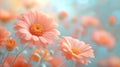 Pink flowers background, close-up of beautiful flowers pastel color, delicate and romantic floral background