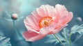 Pink flowers background, close-up of beautiful flowers pastel color, delicate and romantic floral background