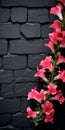 Pink Flowers On Black Brick Wall: Decorative Backgrounds And Eco-friendly Craftsmanship