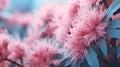 pink flowers blossom on blue leaf.