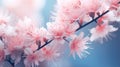 pink flowers blossom on blue leaf.