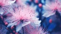 pink flowers blossom on blue leaf.