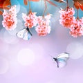 Pink flowers and blue butterflies in the spring garden. Free space for text. Square image.