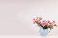 Pink flowers in blue jug. Royalty Free Stock Photo