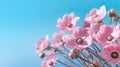 Pink flowers on a blue sky background with copy space for text Royalty Free Stock Photo