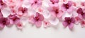 Pink flowers on blurred backgroundvalentines, mothers, womens day conceptflat lay with copy space Royalty Free Stock Photo