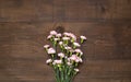 .Pink flowers on dark brown wooden table with copy space Royalty Free Stock Photo