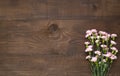 .Pink flowers on dark brown wooden table with copy space Royalty Free Stock Photo