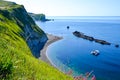 Pink flowers by the Durdle Door`s cliffs in a misty sunny morning, England, United Kindgdom