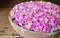 Pink flowers floating in the bowl