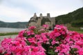 Pink flowers and a Fortress in the background