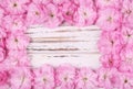 Pink Flowers Frame over Old Wooden Background