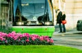 Pink flowers in garden on traffic island on blur city tram runs on tramway track on public urban street and people. Modern